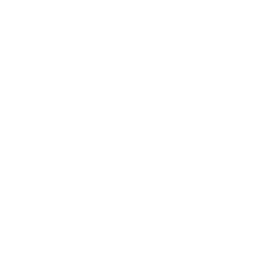 the-straits-times-logo_White